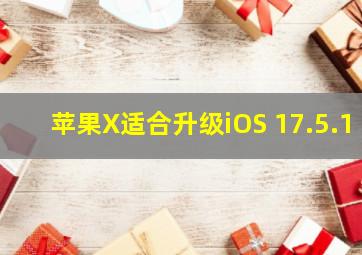 苹果X适合升级iOS 17.5.1